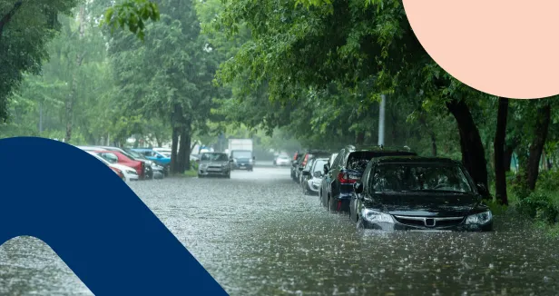 Cars parked on a flooded street during heavy rainfall, surrounded by trees — illustrating the impact of extreme weather on vehicles.