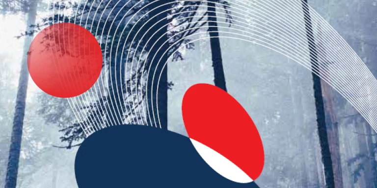 Abstract design with curved white lines and red and navy shapes overlaid on a misty forest background, representing themes of responsible or sustainable investing.